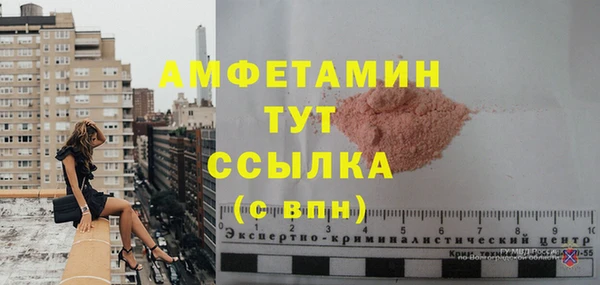 шишки Краснослободск